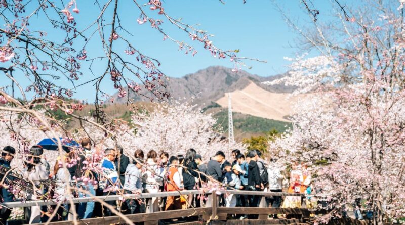 I went to Japan during peak season. This is my one big tip for escaping the crowds.