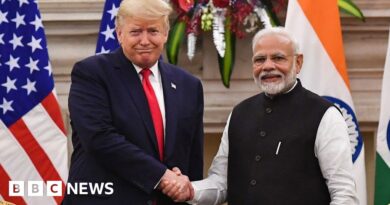 India-US trade: Is the 'big, beautiful' deal in trouble?