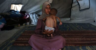 Israel declares Gaza fighting pause amid deepening hunger crisis