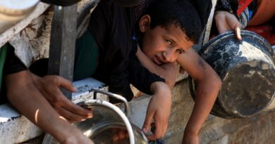 Israeli attacks, forced starvation kill more than 70 Palestinians in Gaza