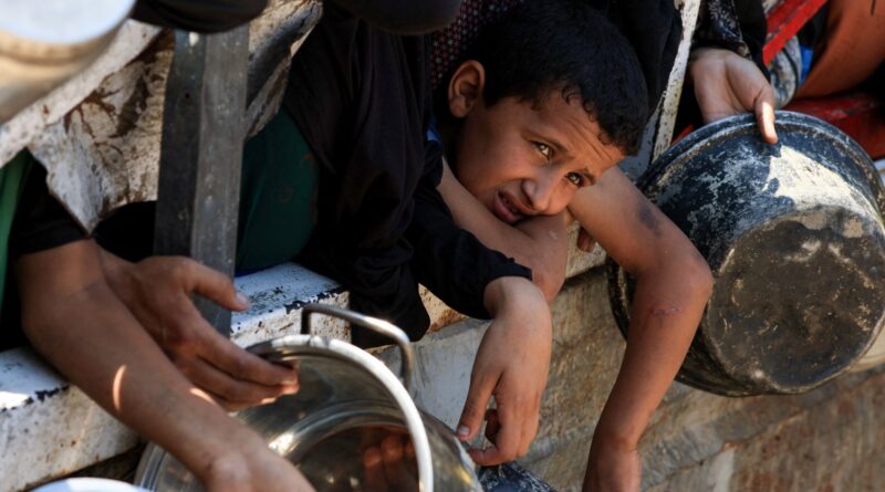 Israeli attacks, forced starvation kill more than 70 Palestinians in Gaza