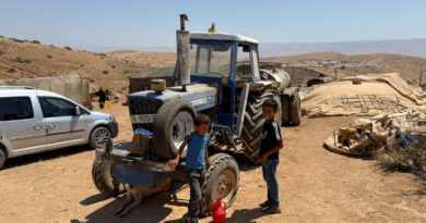 Israeli settlers accused of killing 117 sheep in West Bank attack