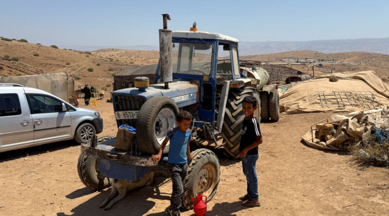 Israeli settlers accused of killing 117 sheep in West Bank attack