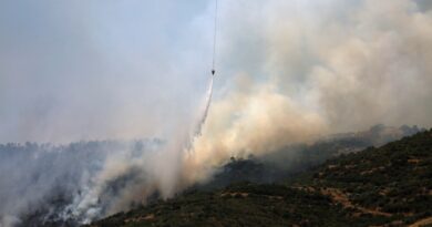 Izmir, villages in Turkiye affected by wildfires now under control