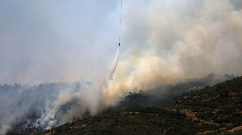 Izmir, villages in Turkiye affected by wildfires now under control