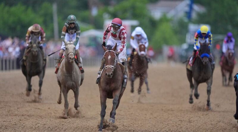 Journalism Headlines Haskell: Pros And Cons For All Eight Contenders