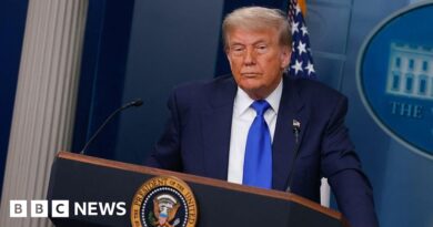 Judge blocks Trump's birthright order after Supreme Court ruling