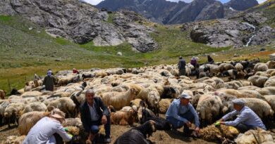Kurdish farmers return to mountains in peace as PKK tensions calm