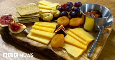 Lab-grown cheese is coming – but would you eat it?