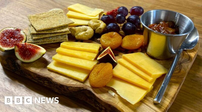 Lab-grown cheese is coming – but would you eat it?