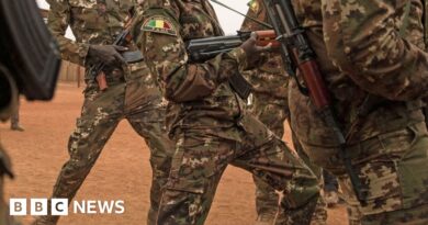 Mali attacks: Jihadist fighters launch coordinated raids on military posts