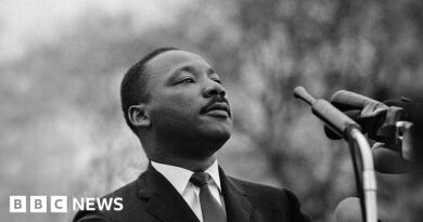 Martin Luther King Jr: Trump administration releases files on slain civil rights leader
