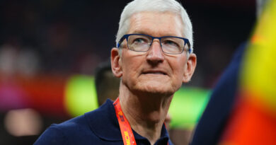Meta reportedly recruits Apple's head of AI models | TechCrunch