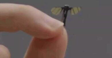 Military experts weigh in on China's new mosquito-like spy drone