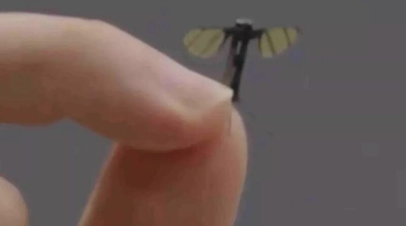 Military experts weigh in on China's new mosquito-like spy drone