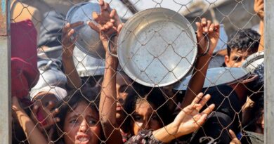More than 100 NGOs warn 'mass starvation' spreading across Gaza