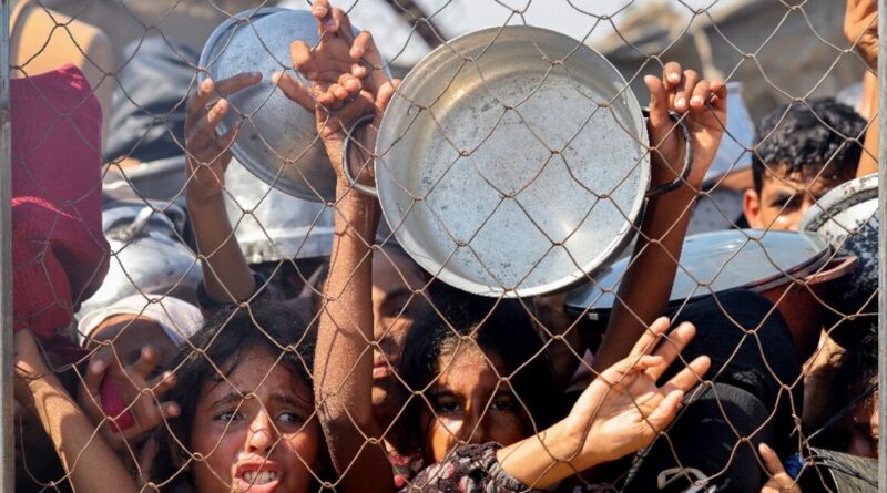 More than 100 NGOs warn 'mass starvation' spreading across Gaza