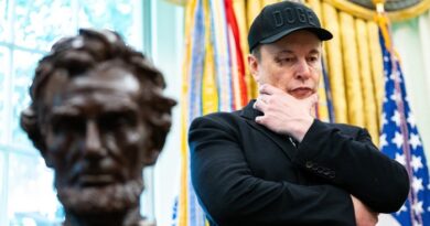 Elon Musk looks on during a news conference with US President Donald Trump in the Oval Office of the White House in Washington in May