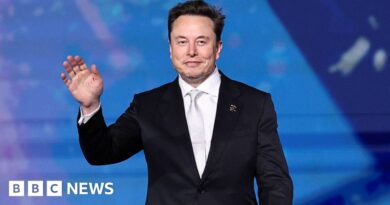 Musk's AI firm deletes posts after Grok chatbot praises Hitler