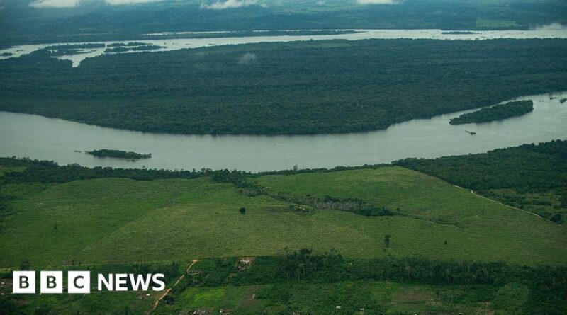 New Brazil development law risks Amazon deforestation - UN expert