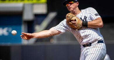 New York Yankees Decide To Move On From DJ LeMahieu While Appreciating His Career