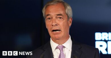 Nigel Farage urges minister to apologise for Jimmy Savile online safety claim