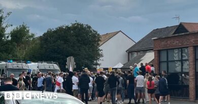 Officers attacked at Epping asylum hotel protest, police say