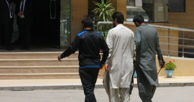 Pakistan arrests over a dozen suspects as ‘honour killing’ video goes viral