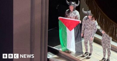 Performer launches Gaza flag protest on Royal Opera House stage