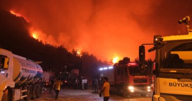 Photos: Wildfires threaten Turkiye’s fourth-largest city