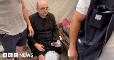 Pope expresses sadness after Israeli strike on Gaza church kills three