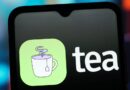 Private messages on Tea, the anonymous dating advice app, were exposed in a recent data breach