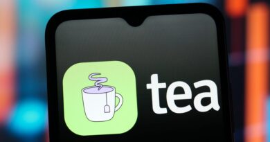 Private messages on Tea, the anonymous dating advice app, were exposed in a recent data breach