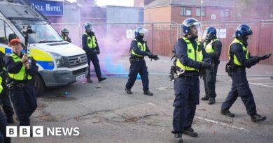 Protesters gather in Epping as bottles and flares are thrown