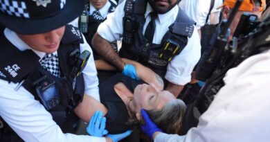 Police arrest protester.