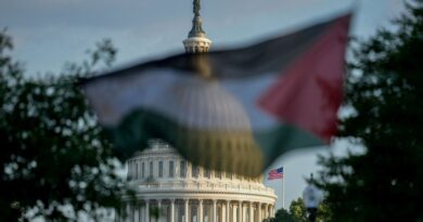 Record number of Democrats join failed bid to block weapons sales to Israel