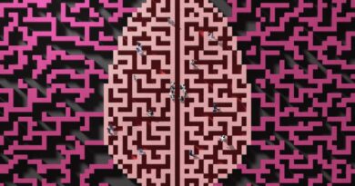 People walking in a maze shaped as a brain