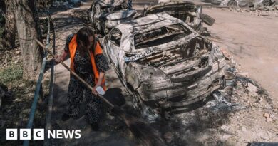 Russia-Ukraine war: Trump says Kyiv to receive more weapons a week after US pause