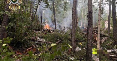 Russia tried stretching the service life of its aging An-24 planes past 50 years. One just crashed with dozens on board.