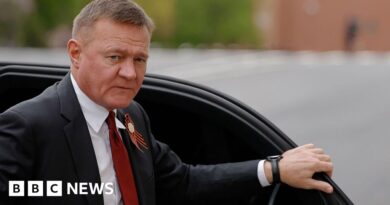 Russian minister sacked by Putin found dead