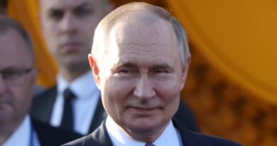 Russia's top regulator tells Putin how companies outmaneuver Western sanctions