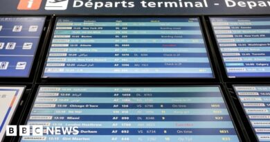 Ryanair cancels flights for 30,000 passengers due to French strike
