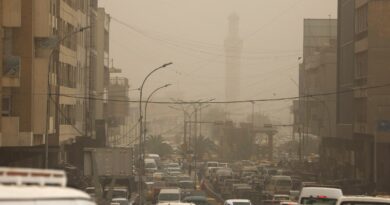 Sand, dust storms affect about 330 million people due to climate change: UN