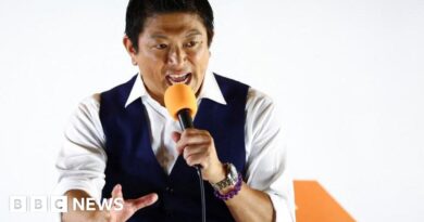 Sanseito: How a far-right 'Japanese First' party gained new ground