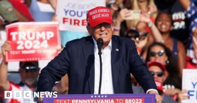 Secret Service suspended staff for failings over Trump assassination attempt
