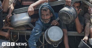 Seven more die from malnutrition in Gaza, Hamas-run ministry says