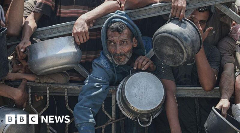 Seven more die from malnutrition in Gaza, Hamas-run ministry says