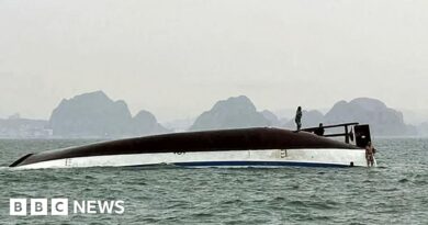 Several dead after tourist boat capsizes in Vietnam