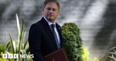 Sir Grant Shapps says his focus was on saving lives after Afghan data breach