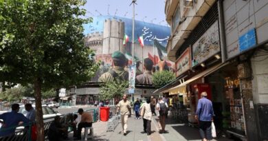 Some Europeans still travel to Iran, ignoring dire warnings